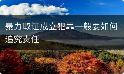 暴力取证成立犯罪一般要如何追究责任