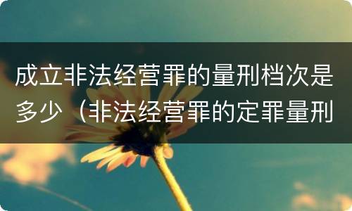 成立非法经营罪的量刑档次是多少（非法经营罪的定罪量刑）