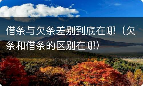 借条与欠条差别到底在哪（欠条和借条的区别在哪）