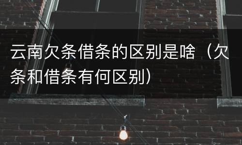 云南欠条借条的区别是啥（欠条和借条有何区别）