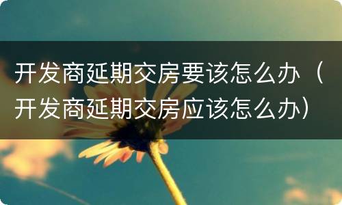 开发商延期交房要该怎么办（开发商延期交房应该怎么办）