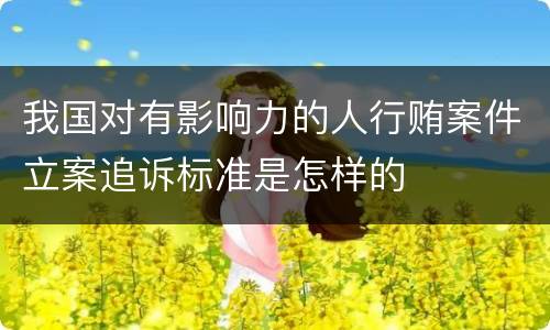 我国对有影响力的人行贿案件立案追诉标准是怎样的