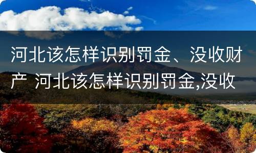 河北该怎样识别罚金、没收财产 河北该怎样识别罚金,没收财产呢