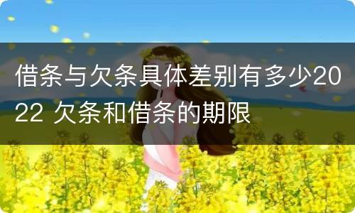 借条与欠条具体差别有多少2022 欠条和借条的期限