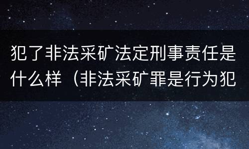 犯了非法采矿法定刑事责任是什么样（非法采矿罪是行为犯还是结果犯）