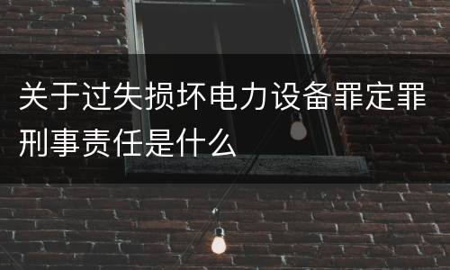 关于过失损坏电力设备罪定罪刑事责任是什么