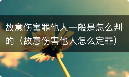 故意伤害罪他人一般是怎么判的（故意伤害他人怎么定罪）