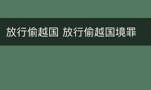 放行偷越国 放行偷越国境罪