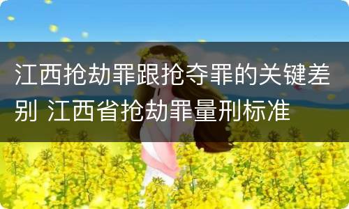 江西抢劫罪跟抢夺罪的关键差别 江西省抢劫罪量刑标准