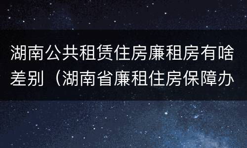 湖南公共租赁住房廉租房有啥差别（湖南省廉租住房保障办法）