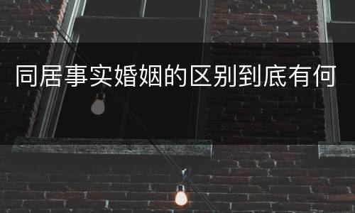 同居事实婚姻的区别到底有何