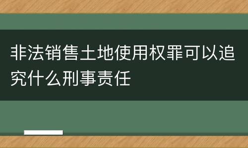 非法销售土地使用权罪可以追究什么刑事责任