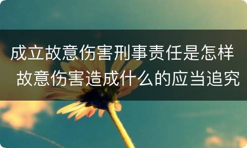 成立故意伤害刑事责任是怎样 故意伤害造成什么的应当追究刑事责任