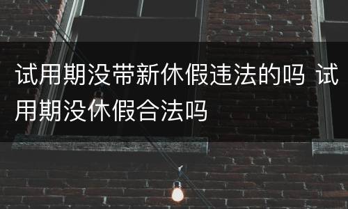 试用期没带新休假违法的吗 试用期没休假合法吗