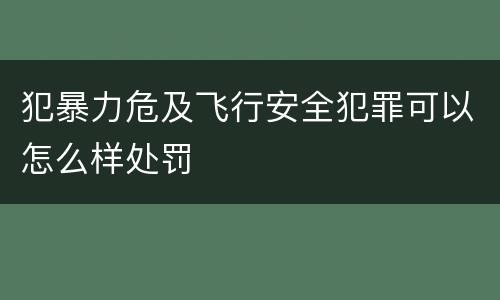 犯暴力危及飞行安全犯罪可以怎么样处罚