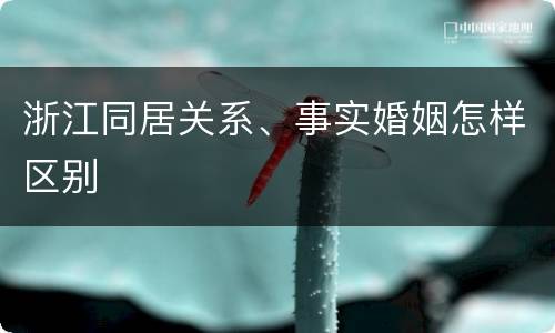浙江同居关系、事实婚姻怎样区别