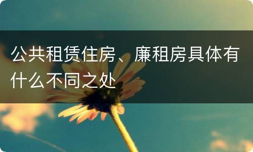 公共租赁住房、廉租房具体有什么不同之处
