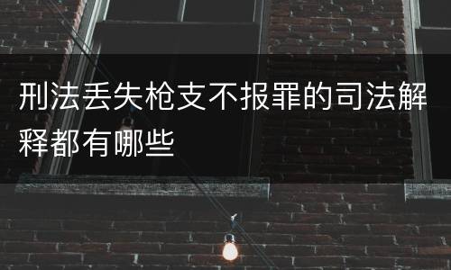 刑法丢失枪支不报罪的司法解释都有哪些