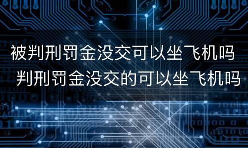 被判刑罚金没交可以坐飞机吗 判刑罚金没交的可以坐飞机吗
