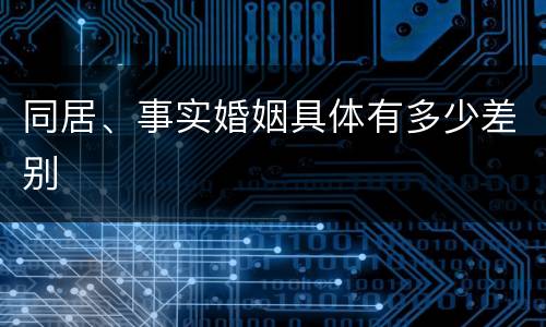 同居、事实婚姻具体有多少差别