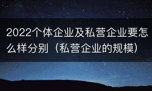 2022个体企业及私营企业要怎么样分别（私营企业的规模）