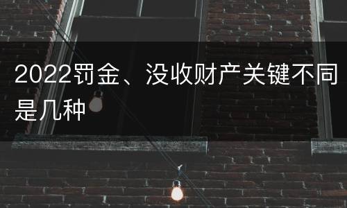 2022罚金、没收财产关键不同是几种