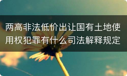 两高非法低价出让国有土地使用权犯罪有什么司法解释规定
