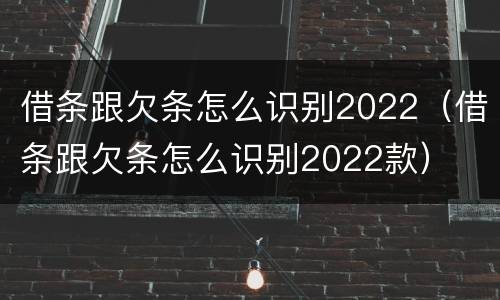借条跟欠条怎么识别2022（借条跟欠条怎么识别2022款）