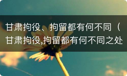 甘肃拘役、拘留都有何不同（甘肃拘役,拘留都有何不同之处）
