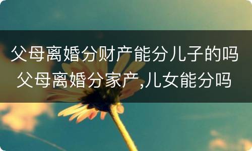 父母离婚分财产能分儿子的吗 父母离婚分家产,儿女能分吗