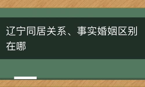 辽宁同居关系、事实婚姻区别在哪