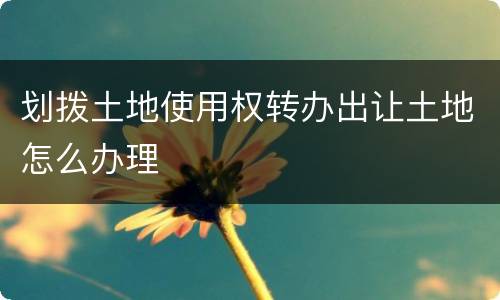 划拨土地使用权转办出让土地怎么办理