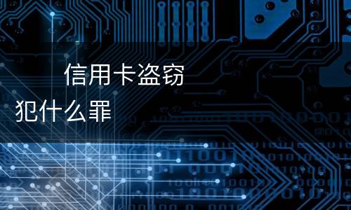 　　信用卡盗窃犯什么罪