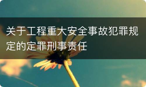 关于工程重大安全事故犯罪规定的定罪刑事责任