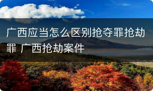 广西应当怎么区别抢夺罪抢劫罪 广西抢劫案件