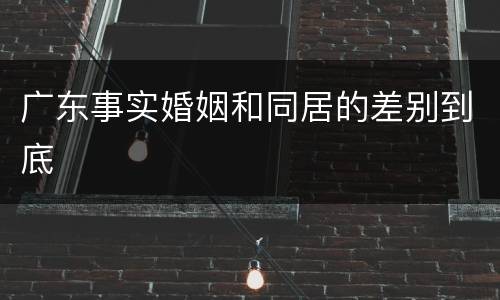 广东事实婚姻和同居的差别到底