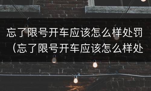 忘了限号开车应该怎么样处罚（忘了限号开车应该怎么样处罚呢）