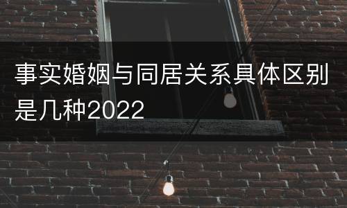 事实婚姻与同居关系具体区别是几种2022