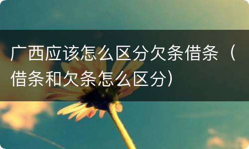 广西应该怎么区分欠条借条（借条和欠条怎么区分）
