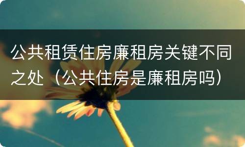 公共租赁住房廉租房关键不同之处（公共住房是廉租房吗）