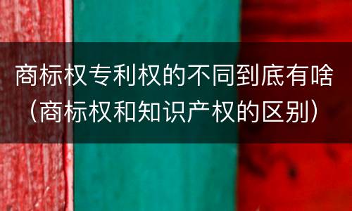 商标权专利权的不同到底有啥（商标权和知识产权的区别）