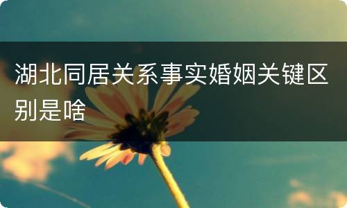 湖北同居关系事实婚姻关键区别是啥