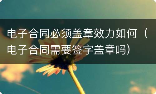 电子合同必须盖章效力如何（电子合同需要签字盖章吗）