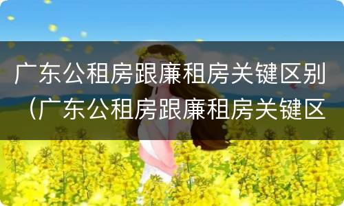 广东公租房跟廉租房关键区别（广东公租房跟廉租房关键区别是什么）