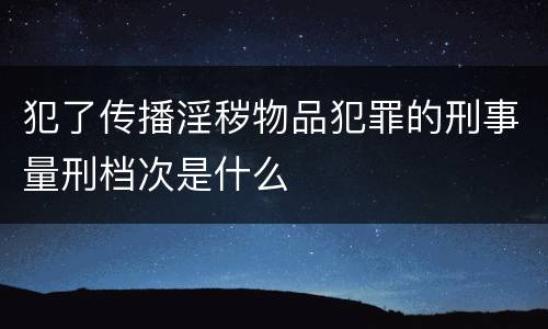 犯了传播淫秽物品犯罪的刑事量刑档次是什么
