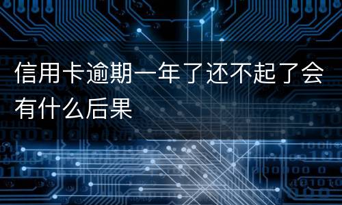 信用卡逾期一年了还不起了会有什么后果