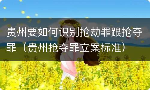 贵州要如何识别抢劫罪跟抢夺罪（贵州抢夺罪立案标准）
