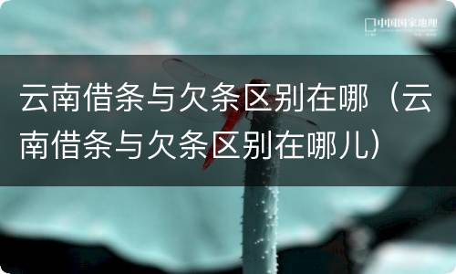 云南借条与欠条区别在哪（云南借条与欠条区别在哪儿）