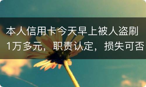 本人信用卡今天早上被人盗刷1万多元，职责认定，损失可否还能追讨去