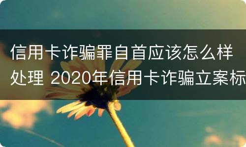 信用卡诈骗罪自首应该怎么样处理 2020年信用卡诈骗立案标准